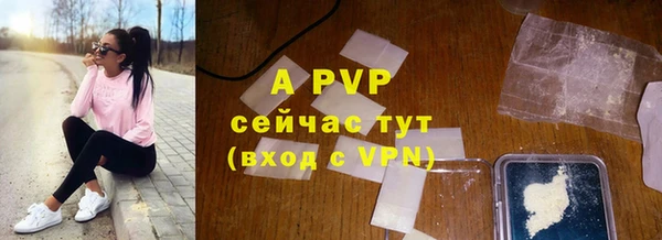 стаф Алзамай