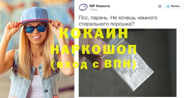 стаф Алзамай