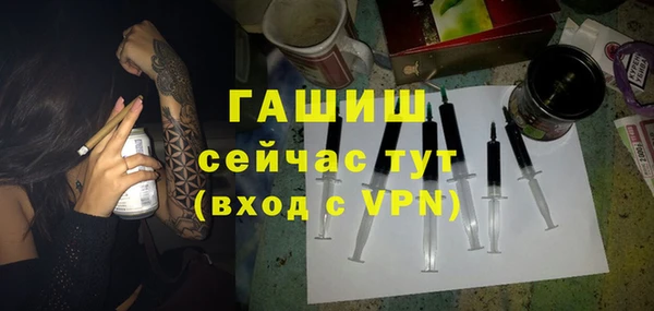 стаф Алзамай