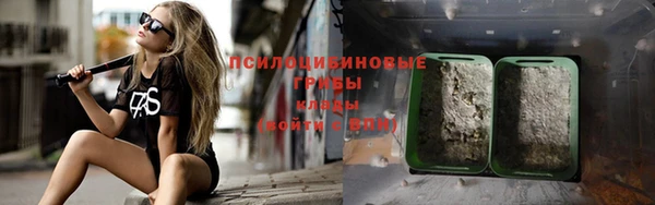 стаф Алзамай