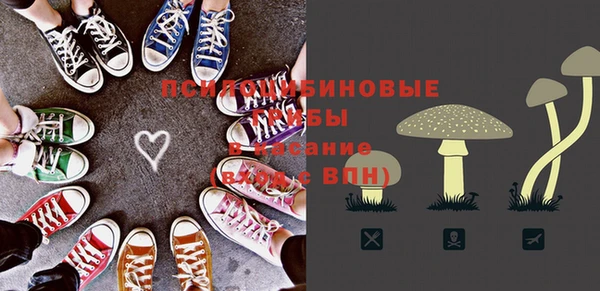 PSILOCYBIN Алексин