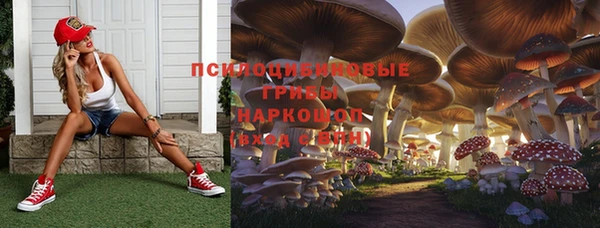 PSILOCYBIN Алексин