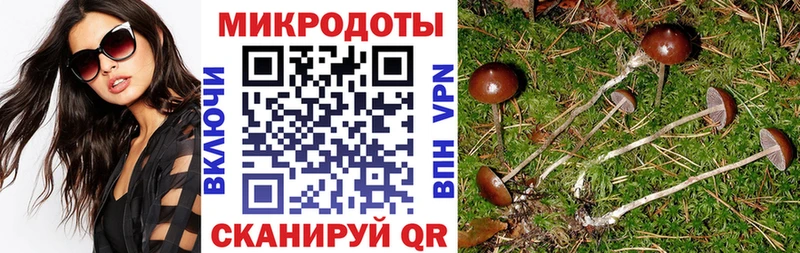 цена наркотик  Катав-Ивановск  Галлюциногенные грибы GOLDEN TEACHER 